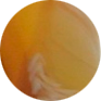 mpetar